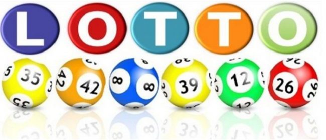 kinh nghiem nuoi lo bach thu khung 5 ngay